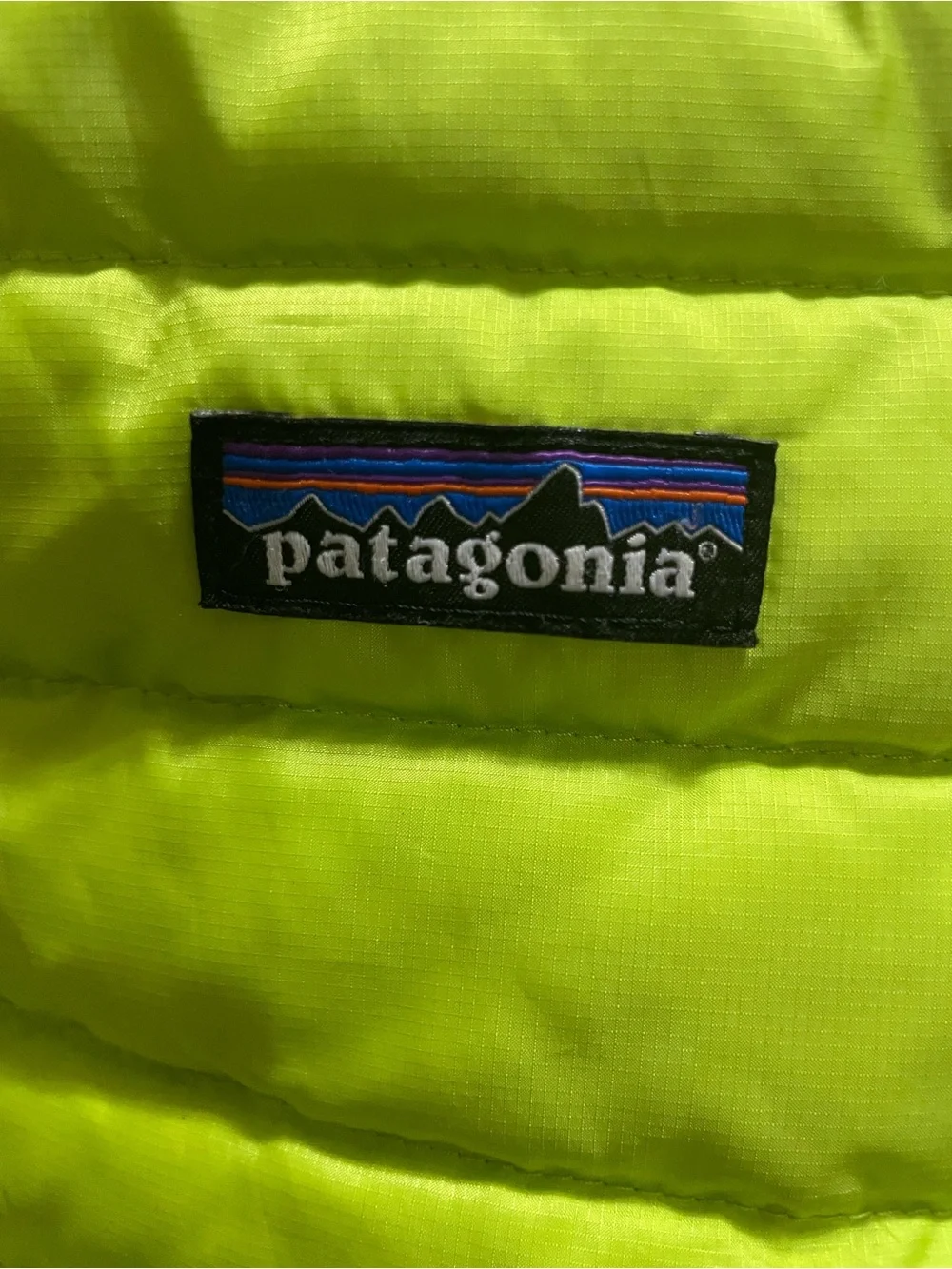 Patagonia Kids Neon Lime Puffer Jacket